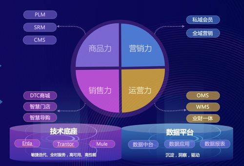 端点 四力模型 新锐品牌的未来数字化路径探索