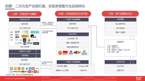 秒针系统 2020二次元营销洞察白皮书 